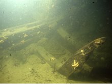Scheurrak_Onderwateropname van de scheepsconstructie. NSD Batavialand, D-11382. Opname door Arent Vos
